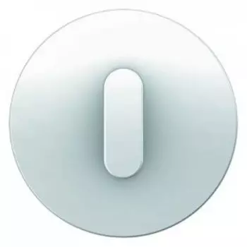 10012089 Накладка с ручкой для поворотных переключателей, R.1, цвет: полярная белизна Berker