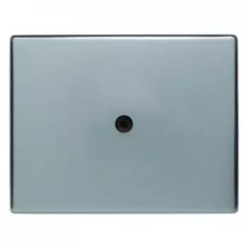 10049004 Центральная панель для VDo-розеток и кабельного вывода цвет: стальной, лак Arsys Berker