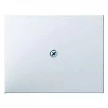 10057009 Центральная панель для VDo-розеток и кабельного вывода цвет: полярная белизна, с блеском K.1 Berker