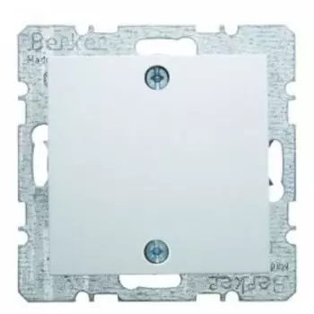 10091919 Заглушка с центральной панелью и винтовым креплением цвет: полярная белизна, матовый S.1/B.1/B.3/B.7 Glas Berker