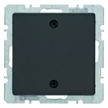10096076 Заглушка с центральной панелью и винтовым креплением, Q.3, цвет: антрацитовый, с эффектом бархата Berker