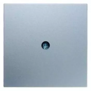 10191404 Центральная панель для VDo-розеток и кабельного вывода цвет: алюминий, матовый B.1/B.7 Glas Berker