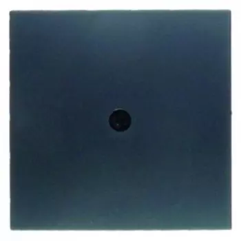 10191606 Центральная панель для VDo-розеток и кабельного вывода цвет: антрацит, матовый B.1/B.3/B.7 Glas Berker