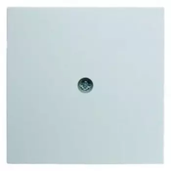 10191909 Центральная панель для VDo-розеток и кабельного вывода цвет: полярная белизна, матовый S.1/B.1/B.3/B.7 Glas Berker