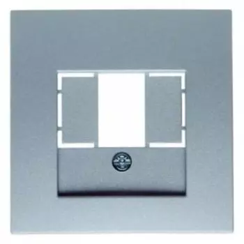 10331404 Центральная панель для розетки TAE цвет: алюминий, матовый B.1/B.7 Glas Berker