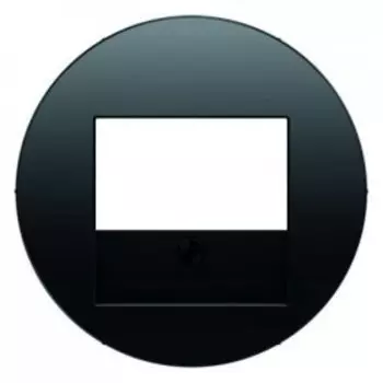 10382045 Центральная панель для VDo-розетки и кабельного вывода, R.1, цвет: черный Berker