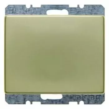 10440002 Заглушка с центральной панелью цвет: золотой, металл Arsys Berker