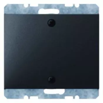 10457106 Заглушка с центральной панелью и винтовым креплением цвет: антрацит, матовый K.1 Berker
