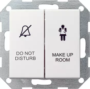 110427 Выключатель для отелей 2-клавишный белый матовый Белый Gira