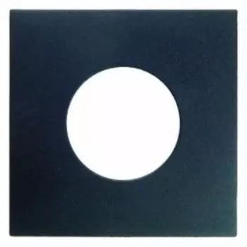 11241606 Центральная панель для нажимной кнопки и светового сигнала Е10 цвет: антрацит, матовый B.1/B.3/B.7 Glas Berker