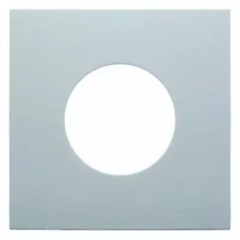 11248989 Центральная панель для нажимной кнопки и светового сигнала Е10 цвет: полярная белизна, с блеском S.1/B.3/B.7 Glas Berker