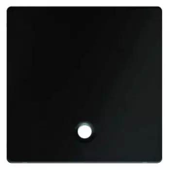 11466086 Центральная панель для выключателей/кнопок со шнурковым приводом, Q.1/Q.3, цвет: антрацитовый Berker