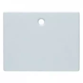 11470069 Центральная панель для выключателей/кнопок со шнурковым приводом цвет: полярная белизна, с блеском Arsys Berker