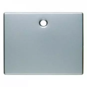 11479004 Центральная панель для выключателей/кнопок со шнурковым приводом цвет: стальной, лак Arsys Berker