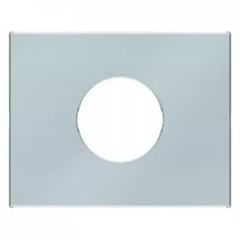 11657004 Центральная панель для нажимной кнопки и светового сигнала Е10 цвет: стальной, лак K.5 Berker