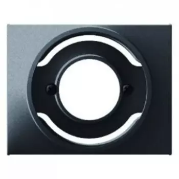 11677006 Центральная панель для светового сигнала Е14 цвет: антрацит, матовый K.1 Berker