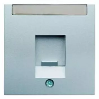 11701404 Центральная панель с заслонкой от пыли и полем для надписи цвет: алюминий, матовый B.1/B.7 Glas Berker