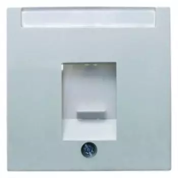 11701909 Центральная панель с заслонкой от пыли и полем для надписи цвет: полярная белизна, матовый S.1/B.1/B.3/B.7 Glas Berker
