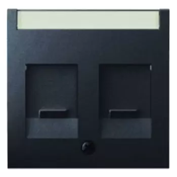 11816086 Центральная панель с заслонками от пыли и полем для надписи цвет: антрацит, с эффектом бархата, Q.1 Berker