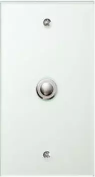 1391 Стеклянная накладка TS Прозрачный 1-постовая Berker