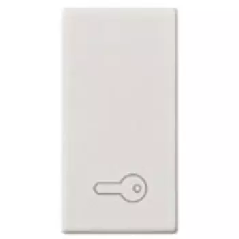 14021.P Клавиша на 1 модуль с симв "ключ" Vimar Plana