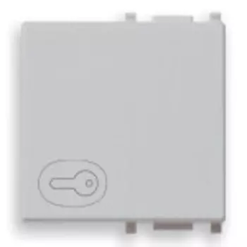 14022.P.SL Клавиша на 2 модуля с симв "ключ", серебро Vimar Plana