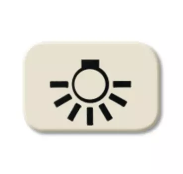 1433-0-0424 (2525 LI), Линза с символом "СВЕТ", серия Busch-Duro 2000 SI, цвет слоновая кость, ABB