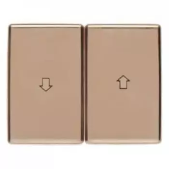 14340107 Клавиши с оттиском Стрелка Arsys медь Berker