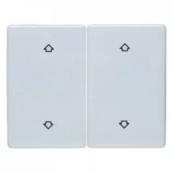 14350369 Клавиши с оттиском Стрелки цвет: полярная белизна, с блеском Arsys Berker