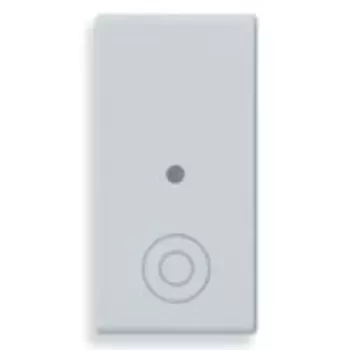 14531.10.SL Клавиша 1m с общим символом, серебро Vimar Plana