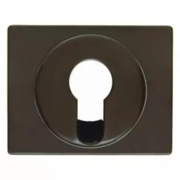 15050011 Центральная панель для замочных выключателей/кнопок цвет: коричневый, с блеском Arsys Berker