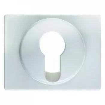 15050079 Центральная панель для замочных выключателей/кнопок цвет: полярная белизна, с блеском Arsys Berker