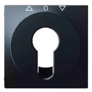 15066086 Центральная панель для жалюзийного замочного выключателя/кнопки, Q.1/Q.3, цвет: антрацитовый, с эффектом бархата Berker