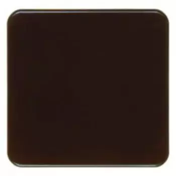 155001 Клавиша цвет: коричневый, с блеском влагозащищенный скрытый монтаж IP44 Berker