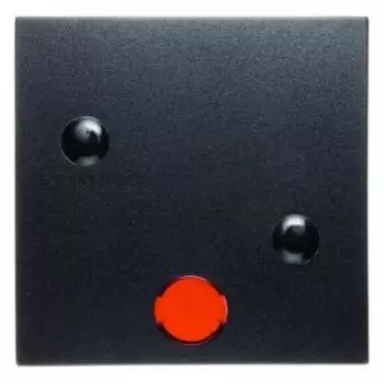 15721606 Прикручивающаяся клавиша в комплекте с 5 линзами цвет: антрацит, матовый B.1/B.3/B.7 Glas Berker