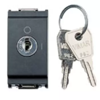 16165 Выключатель 2p 16ax с ключом серый Vimar Idea