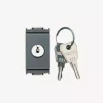 16180.CU Кнопка 1p no 16a с ключом унифиц серая Vimar Idea