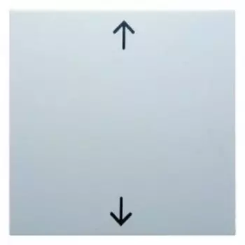 16201919 Перекидной выключатель с оттиском Стрелки цвет: полярная белизна, матовый S.1/B.1/B.3/B.7 Glas Berker