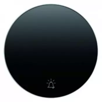 16202025 Перекидной выключатель, R.1 Berker