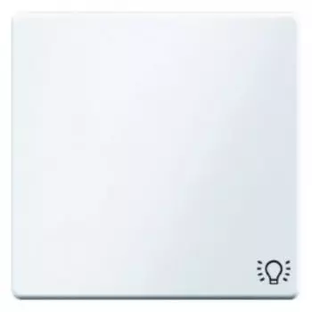 16206049 Клавишный выключатель с оттиском символа света цвет: полярная белизна, с эффектом бархата, Q.1 Berker