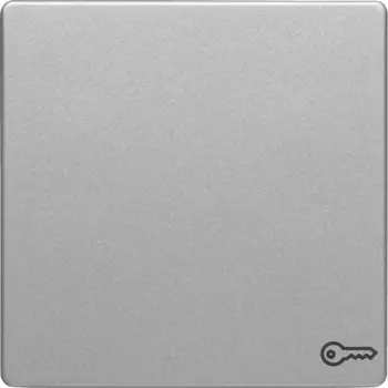 16206064 Клавиша с оттиском символа «Дверь», Q.1/Q.3, цвет: алюминиевый, с эффектом бархата Berker