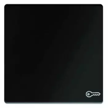 16206066 Клавишный выключатель Berker