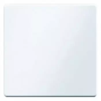 16206089 Клавиша цвет: полярная белизна, с эффектом бархата, Q.1 Berker