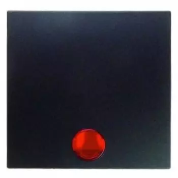 16211606 Клавиша в комплекте с 5 линзами цвет: антрацит, матовый B.1/B.3/B.7 Glas Berker