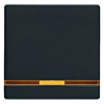 16216086 Клавиша выключателя Berker