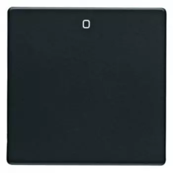 16226086 Клавиша с надписью Berker