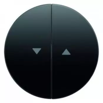 16252045 Клавиши с оттиском, цвет антрацит R.1/R.3 Berker