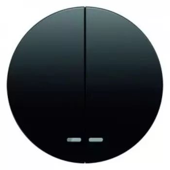 16272045 Клавиша двойная,с двумя линзами, цвет: белый глянцевый R.1/R.3 Berker