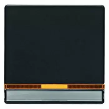 16286086 Клавиша выключателя с линзой Berker