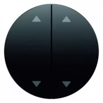 16442045 Клавиши с оттиском "Стрелки", R.1 Berker